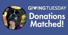 Giving Tuesday Match!